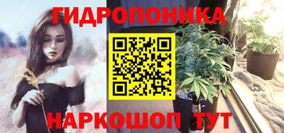 a pvp Гусь-Хрустальный