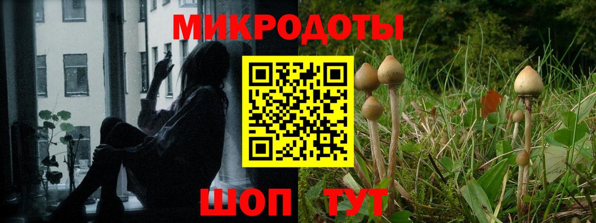 Галлюциногенные грибы GOLDEN TEACHER Гурьевск